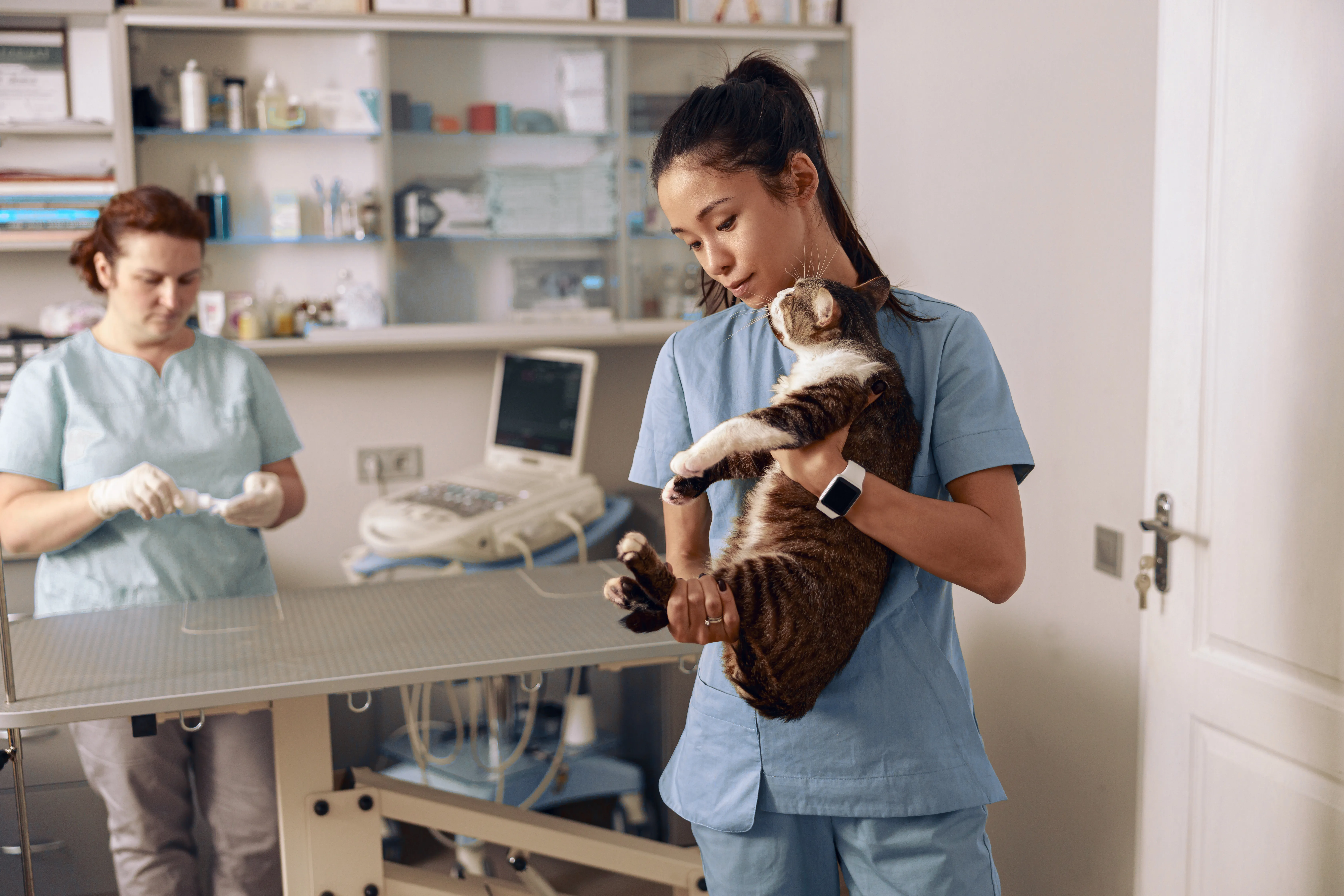 Equipo veterinario explica cómo posicionar correctamente a un animal para una radiografía favoreciendo estudios claros, seguros y confiables. 